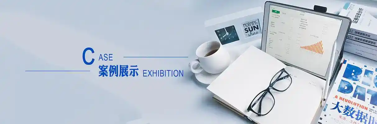 陆河县软件开发